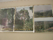 EPSN0030.JPG