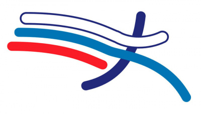 Победа на чемпионате Брянской области  по легкой атлетике
