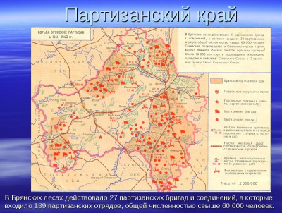 Виртуальная выставка книг о партизанском движении на Брянщине 