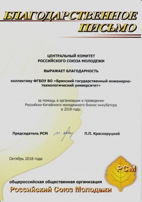 Благодарность Российского Союза Молодежи 