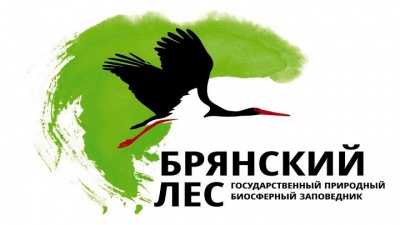 Юбилей заповедника «Брянский лес»