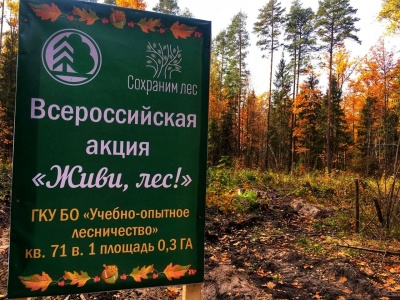 Всероссийская акция «Сохраним лес»