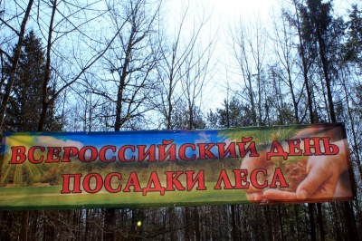 Всероссийский день посадки леса