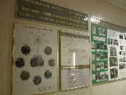 EPSN0009.JPG