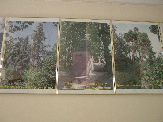 EPSN0029.JPG