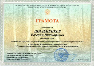 Благодарность за участие во Всероссийском смотре-конкурсе
