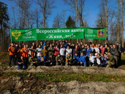 Акция «Сохраним лес»