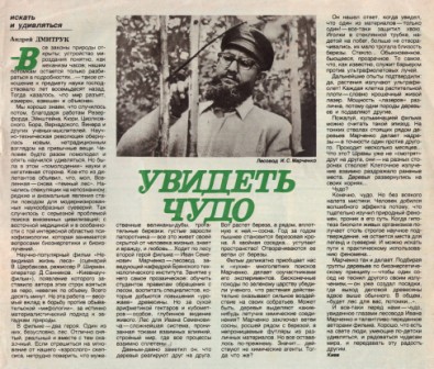 о фильме.jpg