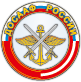ДОСААФ.png