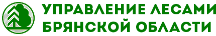 УправЛесами.png