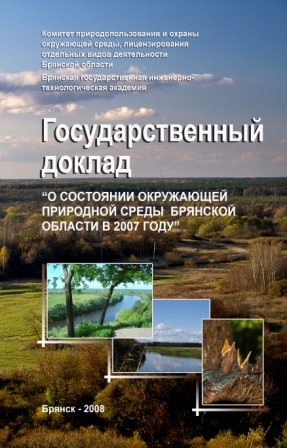 госдоклад 2008.jpg