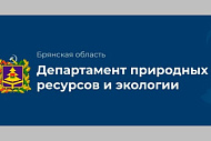 Предложение трудоустройства в департамент природных ресурсов и экологии Брянской области