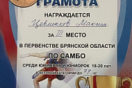 Успех на чемпионате области по самбо
