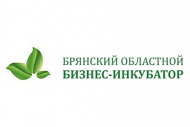День открытых дверей для студентов БГИТУ в Брянском областном бизнес-инкубаторе