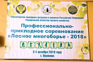 Успех на Всероссийских соревнованиях «Лесное многоборье – 2018»